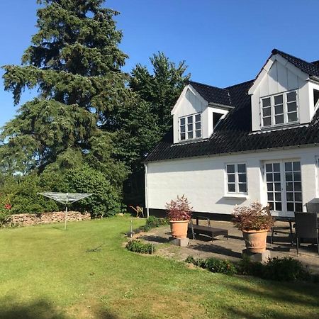 Pedersholt Bed & Breakfast Dybvad Bagian luar foto